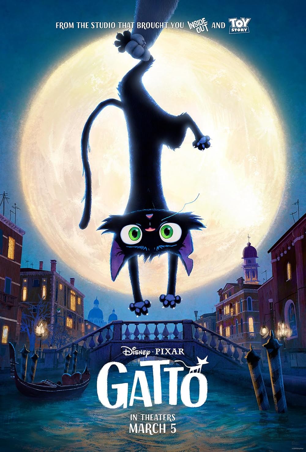 	Gatto	